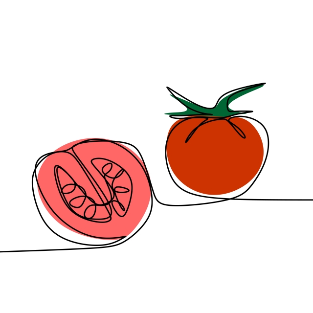 640x640 tomato continuous line drawing vector illustration, tomato, one