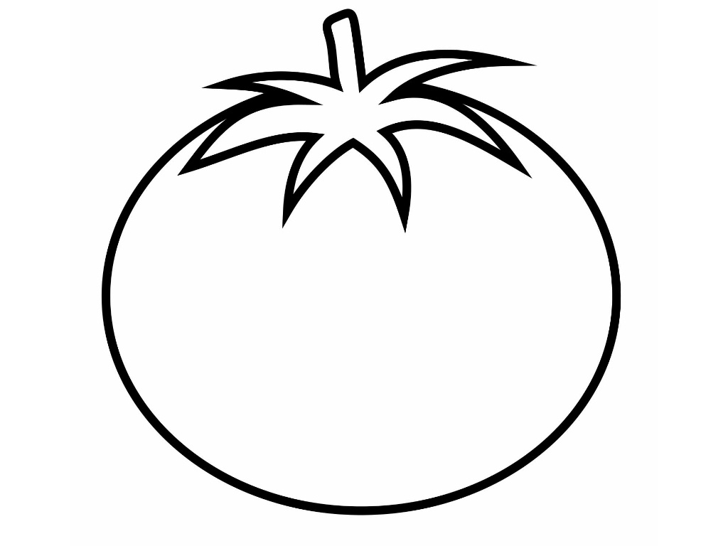 1024x768 Tomato Drawing Free Download