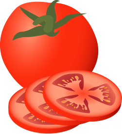 251x275 Tomatoes Drawing Sliced Tomato Transparent Png Clipart Free