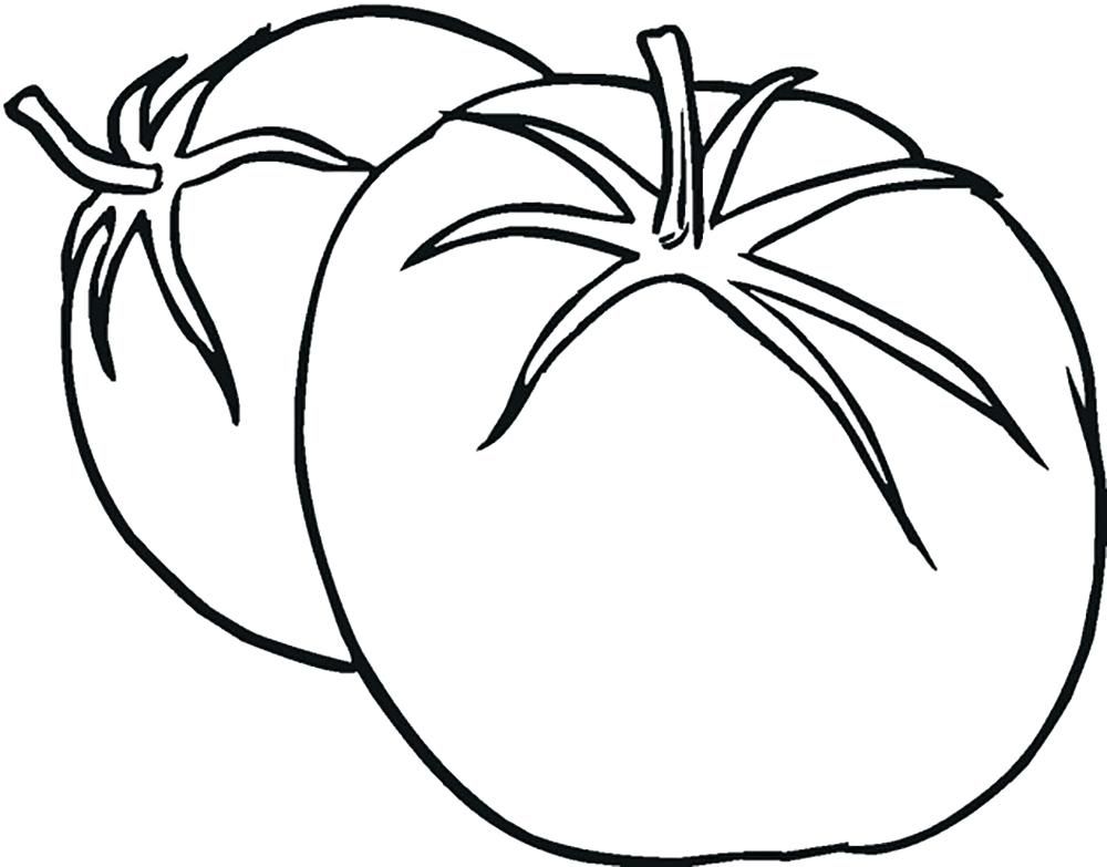 Tomato Line Drawing