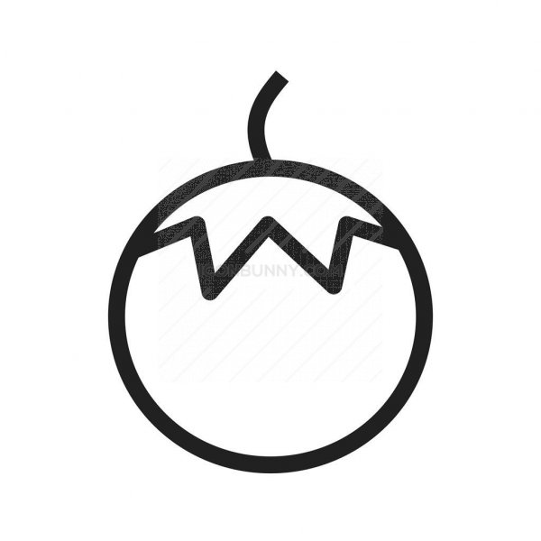 600x600 Tomato Line Icon