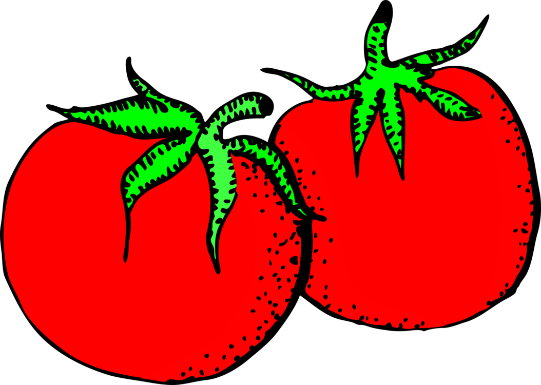 1054x750 Tomato Fruit Drawing Food Graphic Arts Cc0