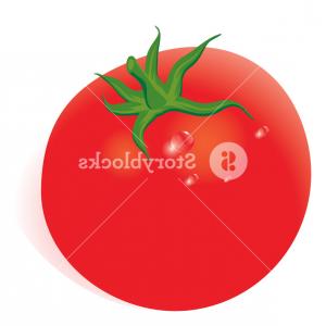 300x300 tomato vector drawing set isolated tomato sliced piece and tom gm