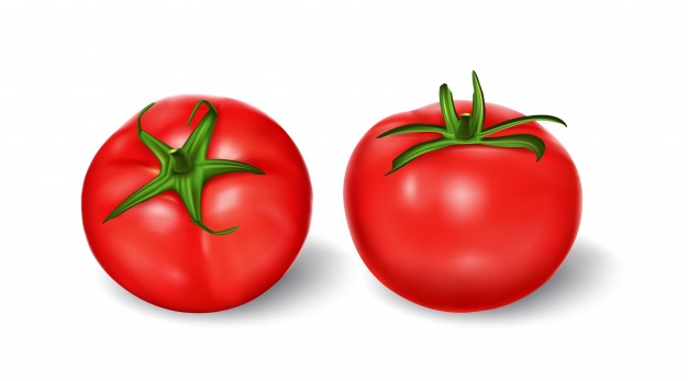 626x347 Tomato Vectors, Photos And Free Download