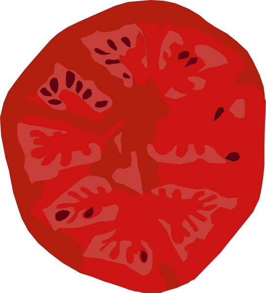 544x600 Tomato Slice Free Vector In Open Office Drawing