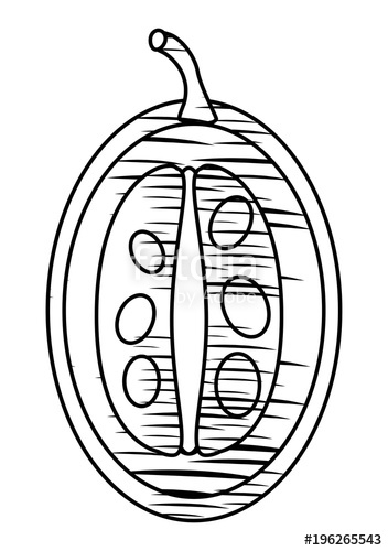 352x500 Sketch Of Slice Of Tree Tomato Fruit Icon Over White Background