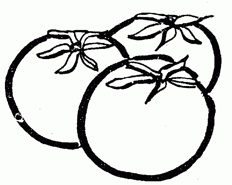 752x598 Collection Of Free Tomatoes Clipart Black And White Amusement
