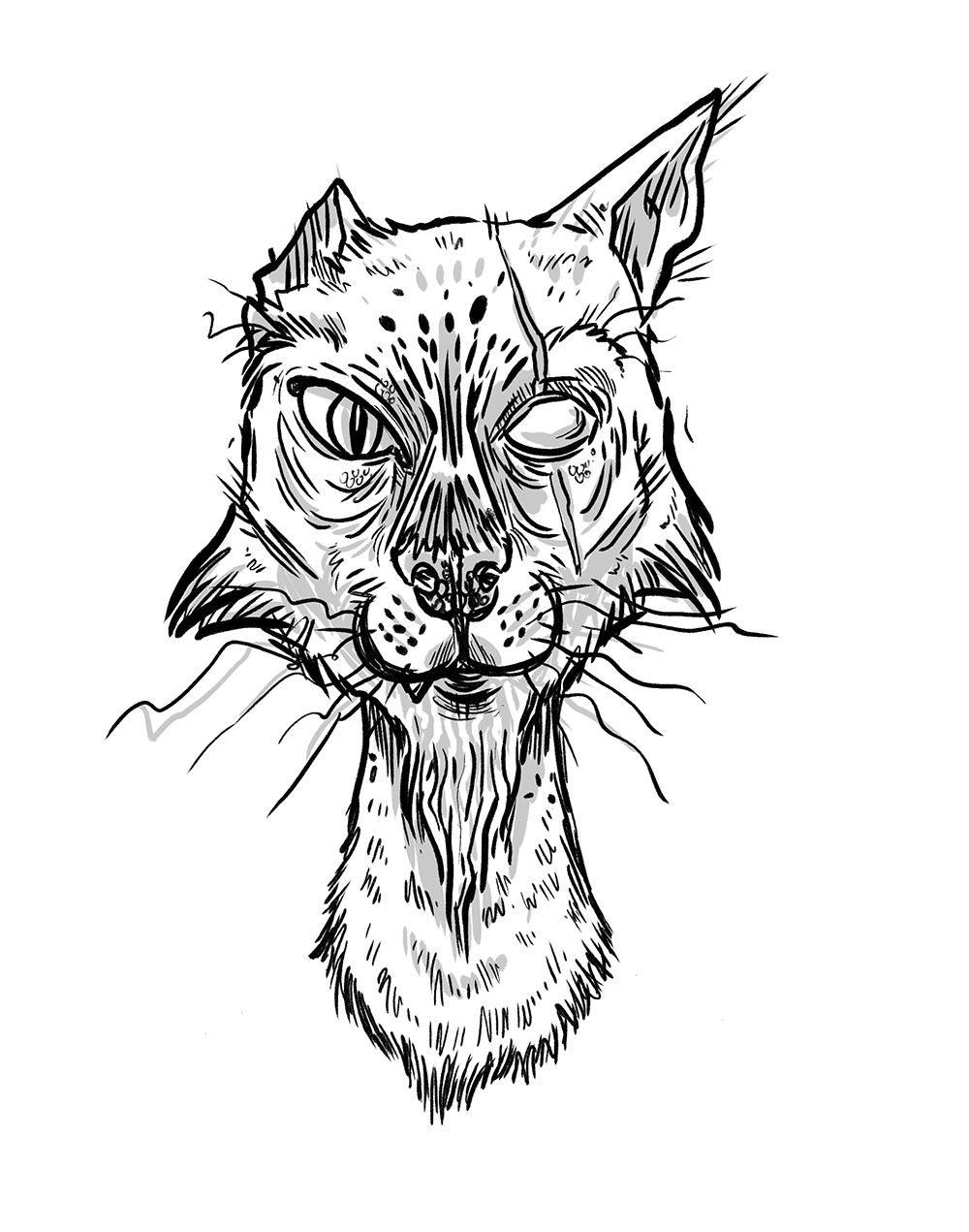 1000x1271 Stream Drawings Dragon Friends