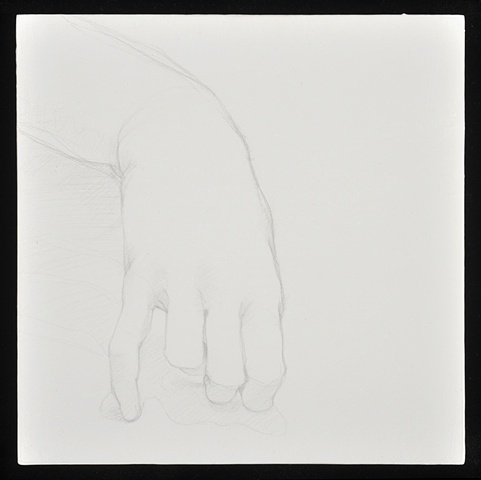 481x480 stephanie suter