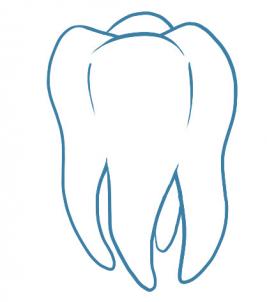 267x302 How To Draw A Tooth, Step