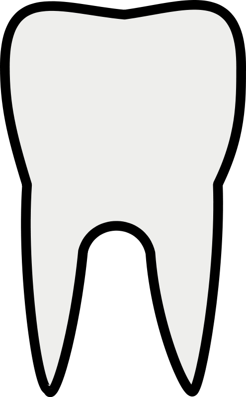 495x800 Teeth Drawing Transparent Png Clipart Free Download