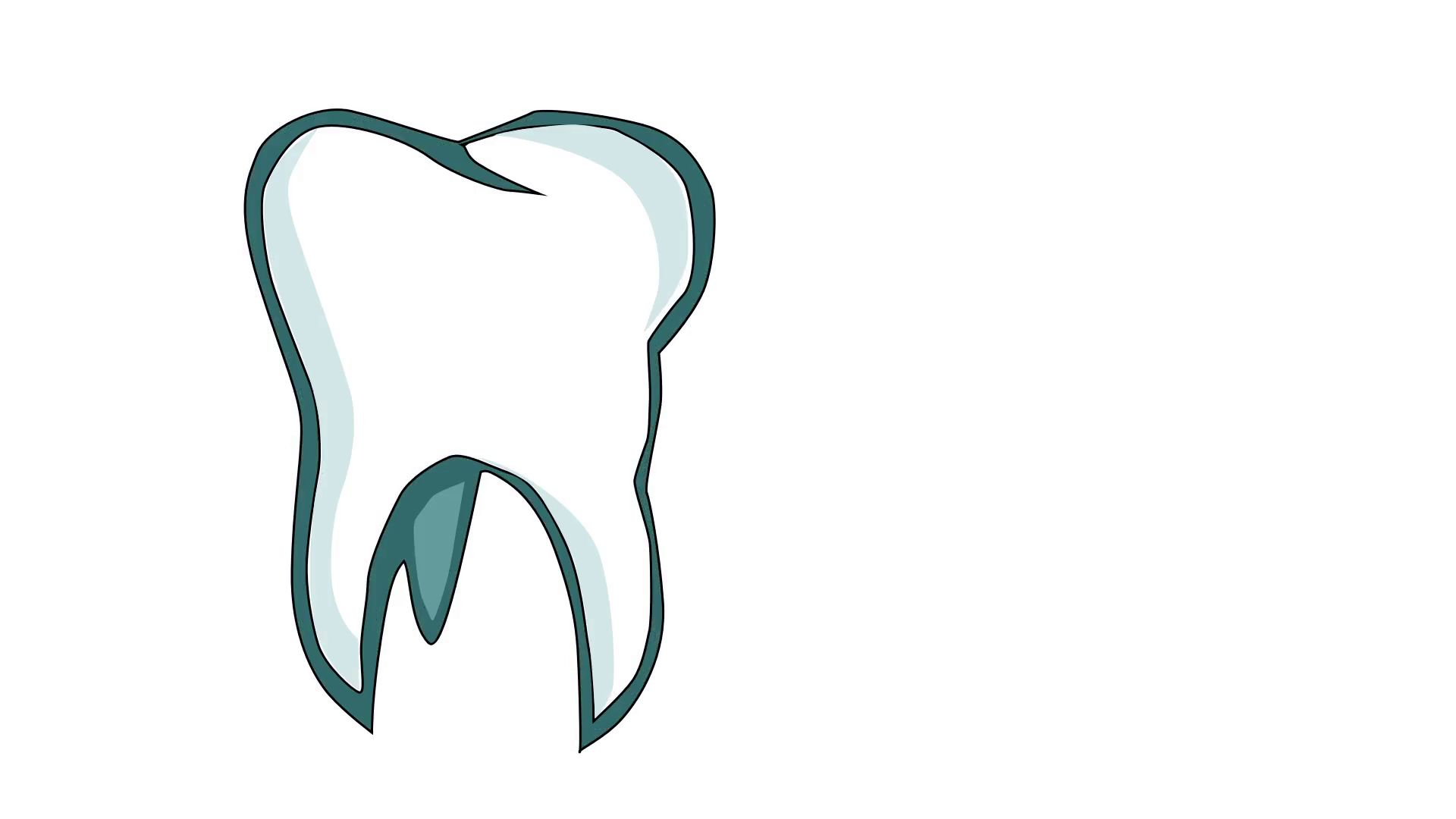 1920x1080 Animated Drawing Of Dental Tooth White Molar Motion Background