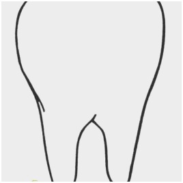 268x268 Toothbrush Coloring