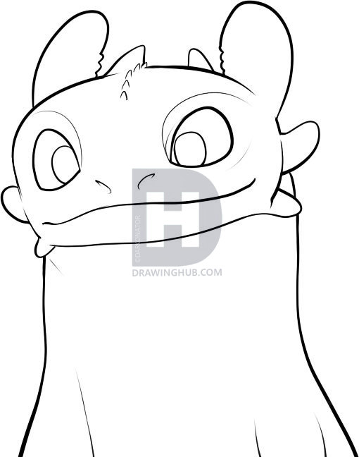510x648 How To Draw Toothless, Step