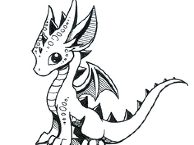 640x480 Baby Dragon Drawing