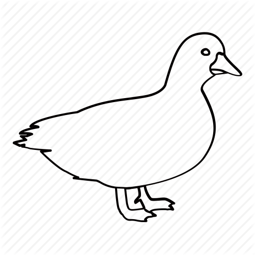 512x512 Collection Of Free Drake Drawing Outline Download On Ui Ex