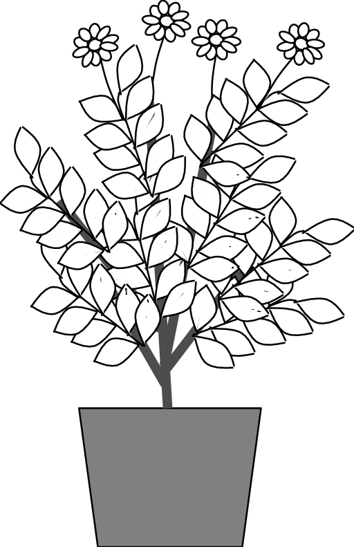 512x791 Fig Schematic Drawing Of A Brittlebush In A Gallon