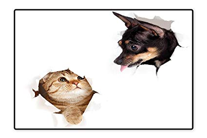 425x283 Indooroutdoor Floor Mat Cat And Dog In Paper Side