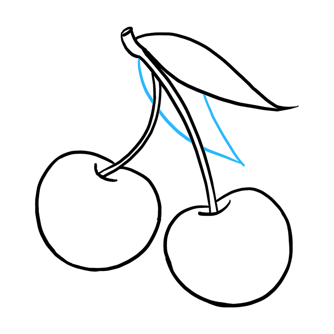 680x678 How To Draw Cherries