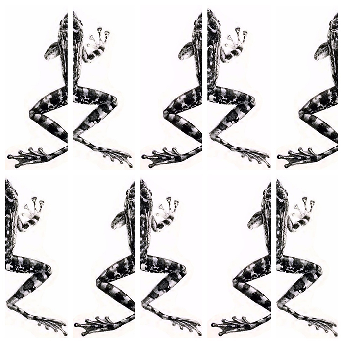 700x700 Study Finds 'black Box' Methods Used