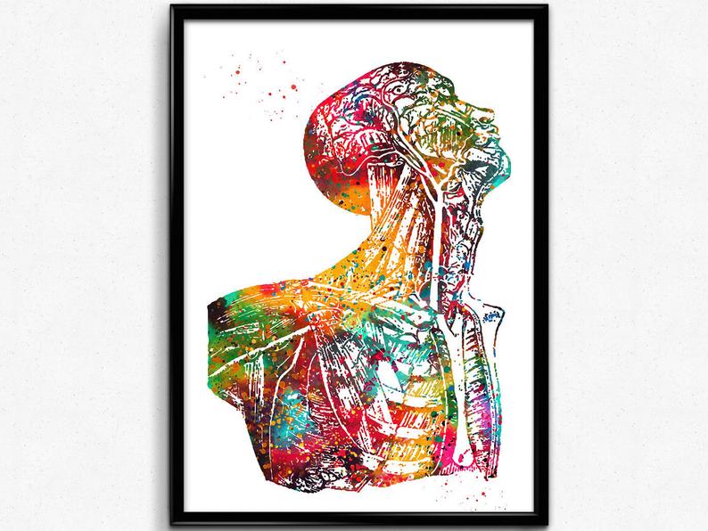 794x596 Head And Torso Watercolor Print Anatomy Art Poster Human Etsy
