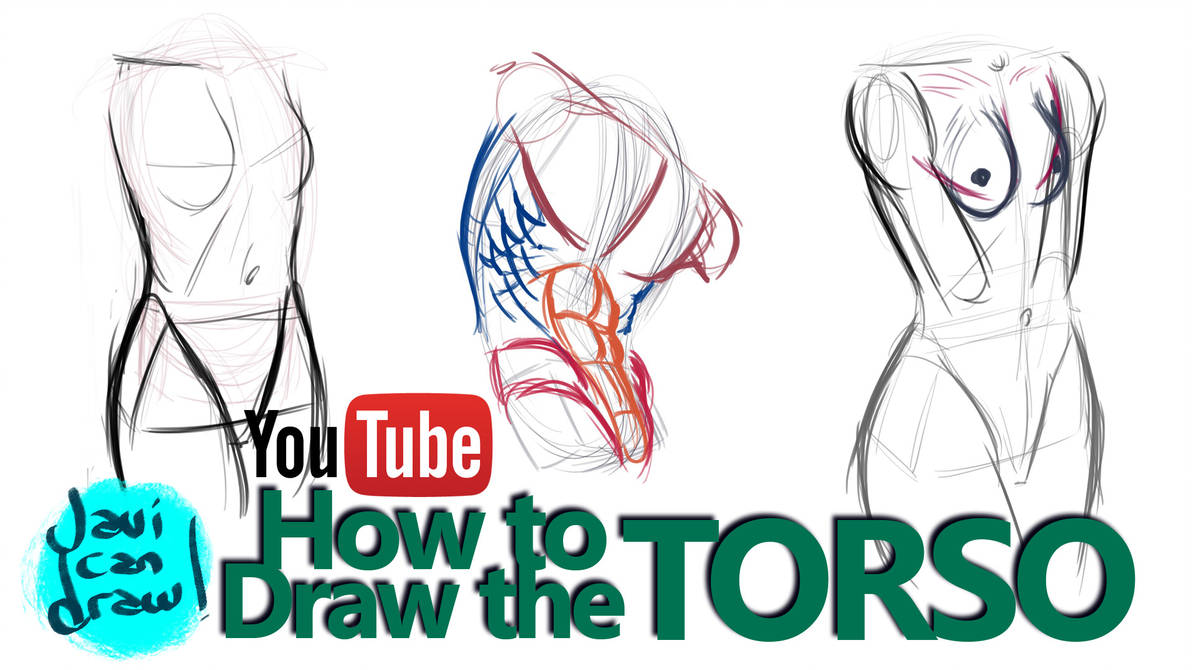 1192x670 How To Draw The Male And Female Torso