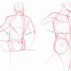 248x248 Perspective Archives Quarto Knows Blog