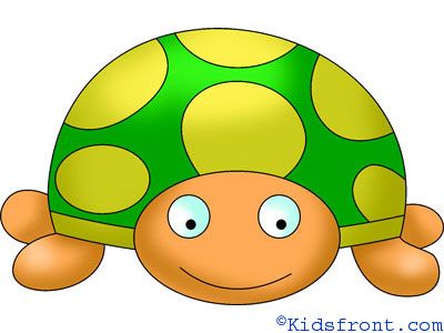 400x300 How To Draw Tortoise, How To Draw For Kids, How To Draw Step