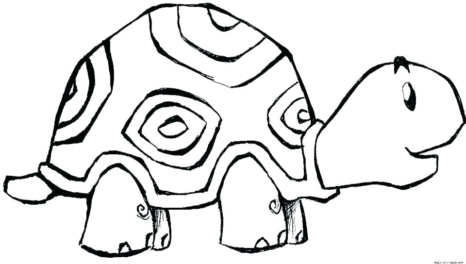 960x544 tortoise colouring sheet tortoise coloring