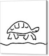 162x186 Tortoise Reptiles Tank Drawing