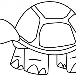 300x300 Turtle Drawings New Simple Turtle Drawing How To Draw A Tortoise
