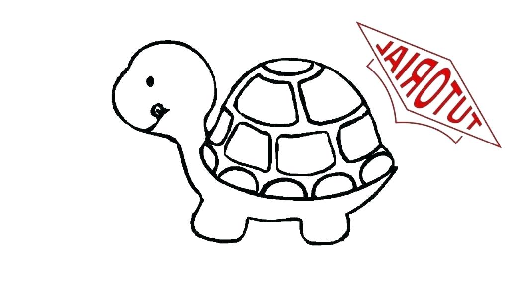 1024x576 Draw Turtle