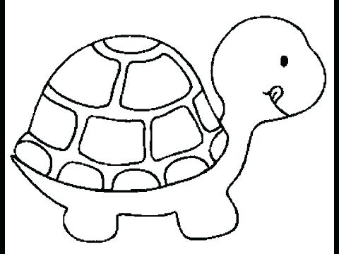 480x360 Drawing Of Turtles