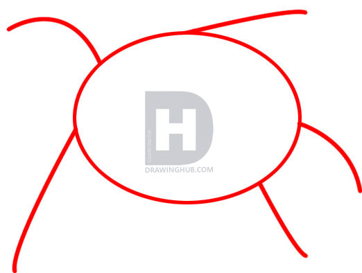 522x394 How To Draw A Sea Turtle, Step