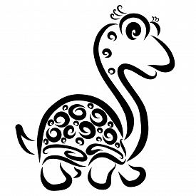 275x275 Tortoise Shell Photos And Images