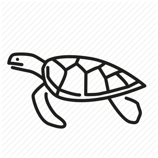 512x512 Animal, Ocean Life, Sea Turtle, Shell, Tortoise, Turtle Icon