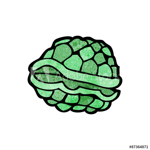 500x500 Cartoon Tortoise Shell