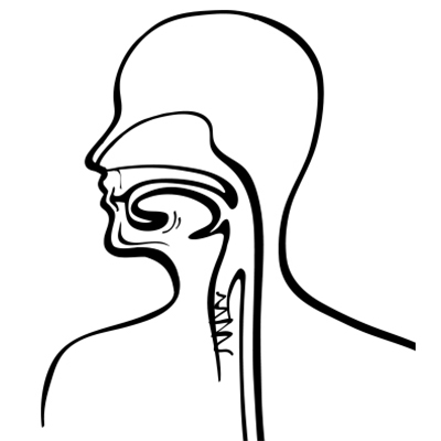 400x400 Adoptive Immunotherapy Makes Inroads In Head And Neck Cancers, But