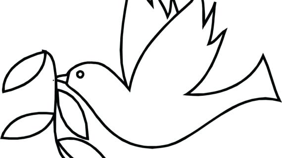 570x320 How To Draw Dove Step