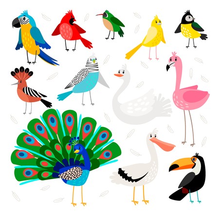 450x450 Birds Tropical And Exotic Drawing Wild Bird Set Vector