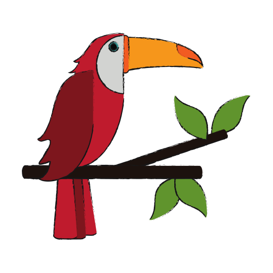 550x550 Brazil Drawing Toucans Transparent Png Clipart Free Download
