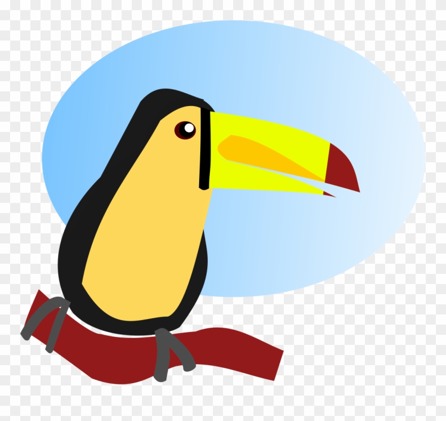 880x830 Clipart Transparent Toucan Clipart
