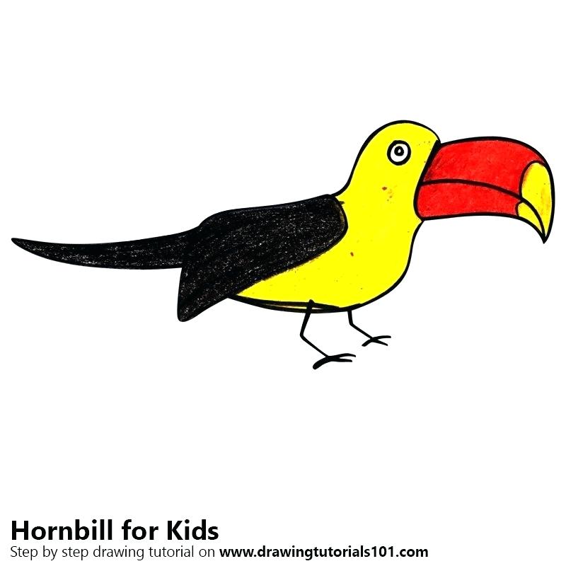 800x800 how to draw a toucan for kids toucan bird cool print cute childish