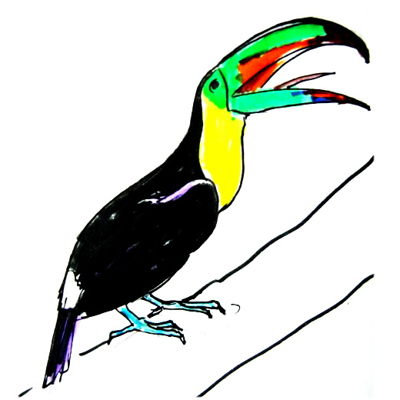 400x400 How To Draw A Toucan