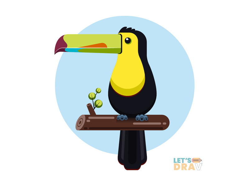 800x600 keel billed toucan