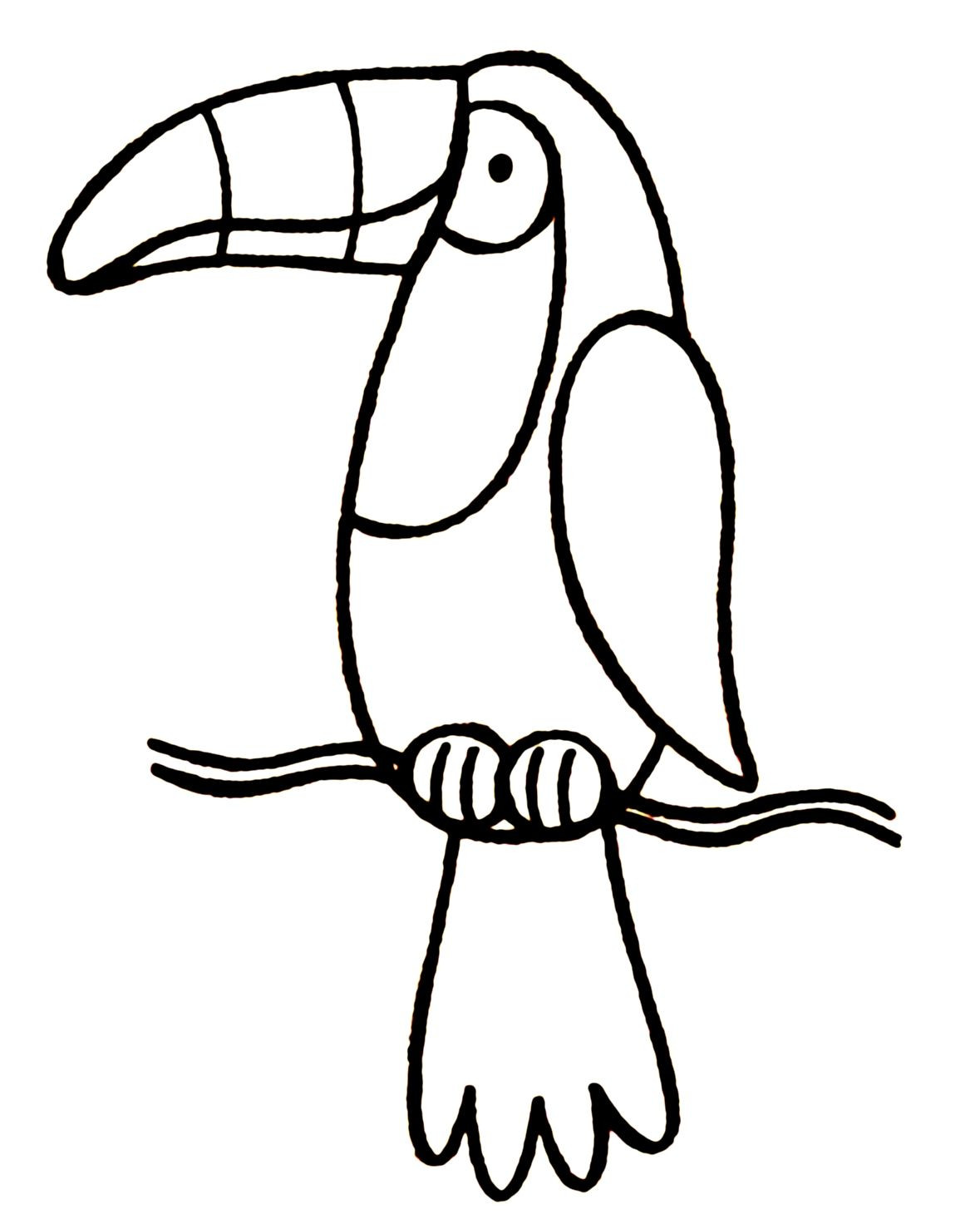 1179x1478 On Toucan Coloring Page
