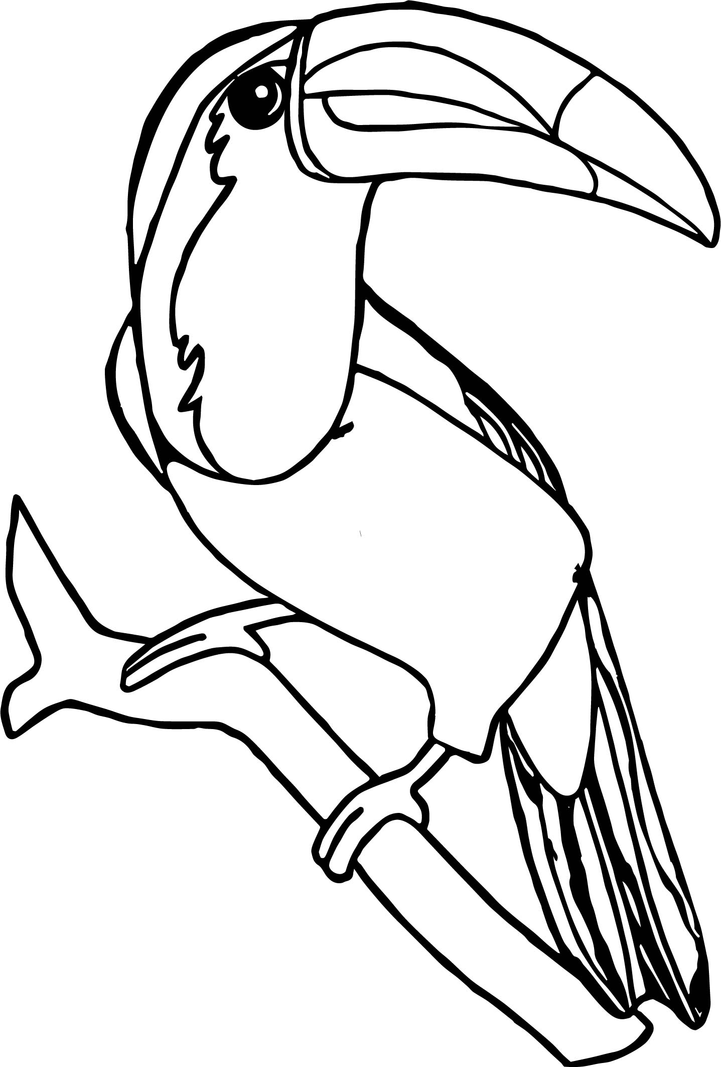 Toucan Bird Drawing Free Download On ClipArtMag