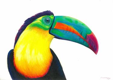 375x264 Toucan Drawing