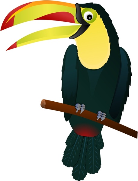 457x600 Toucan Free Vector In Open Office Drawing