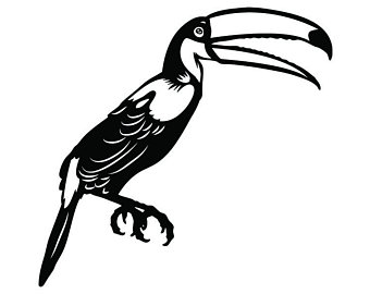 340x270 Toucan Bird Etsy